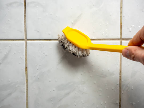 Best Certified Mold Removal  in Wakeeney, KS