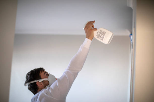 Mold Removal and Inspection in Wakeeney, KS