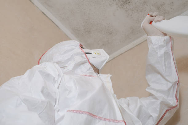 Best Emergency Mold Removal  in Wakeeney, KS