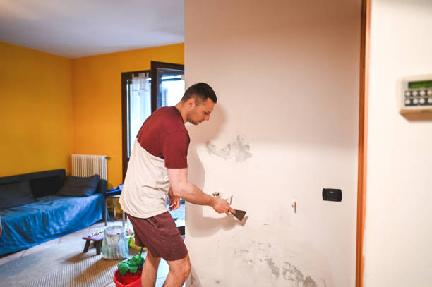 Best Professional Mold Removal  in Wakeeney, KS